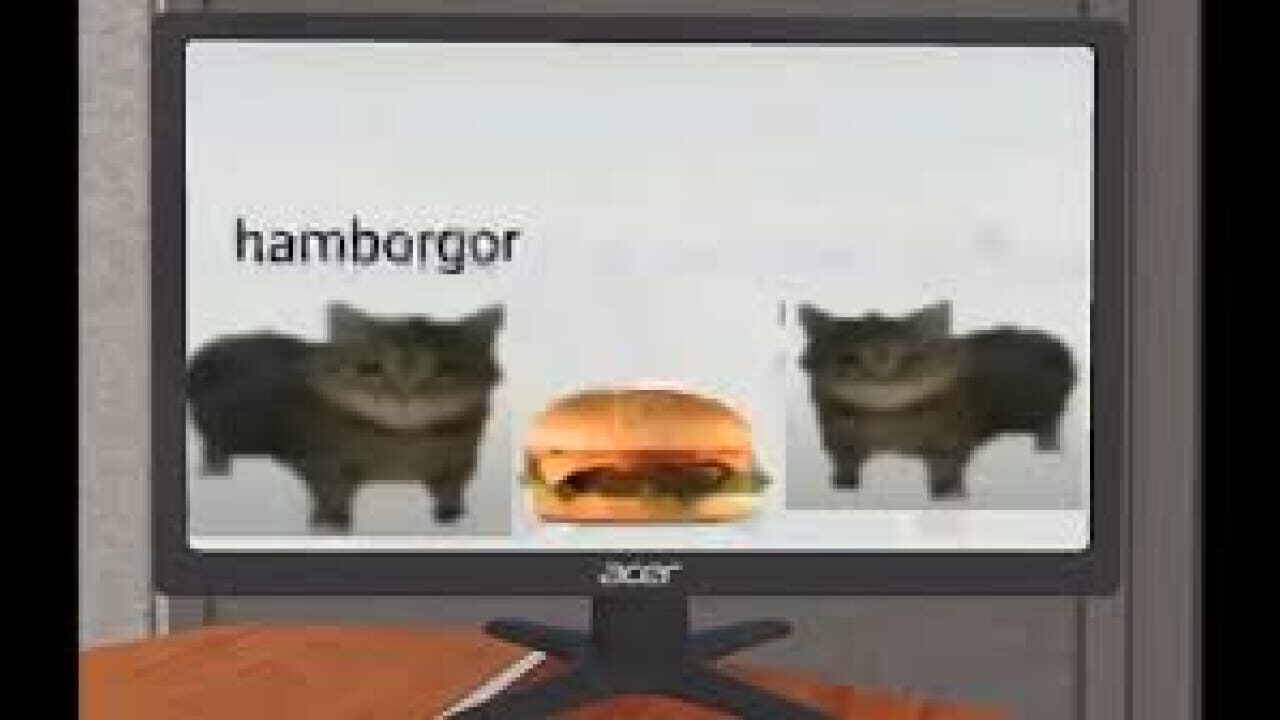 Hamborgor meme sound effect