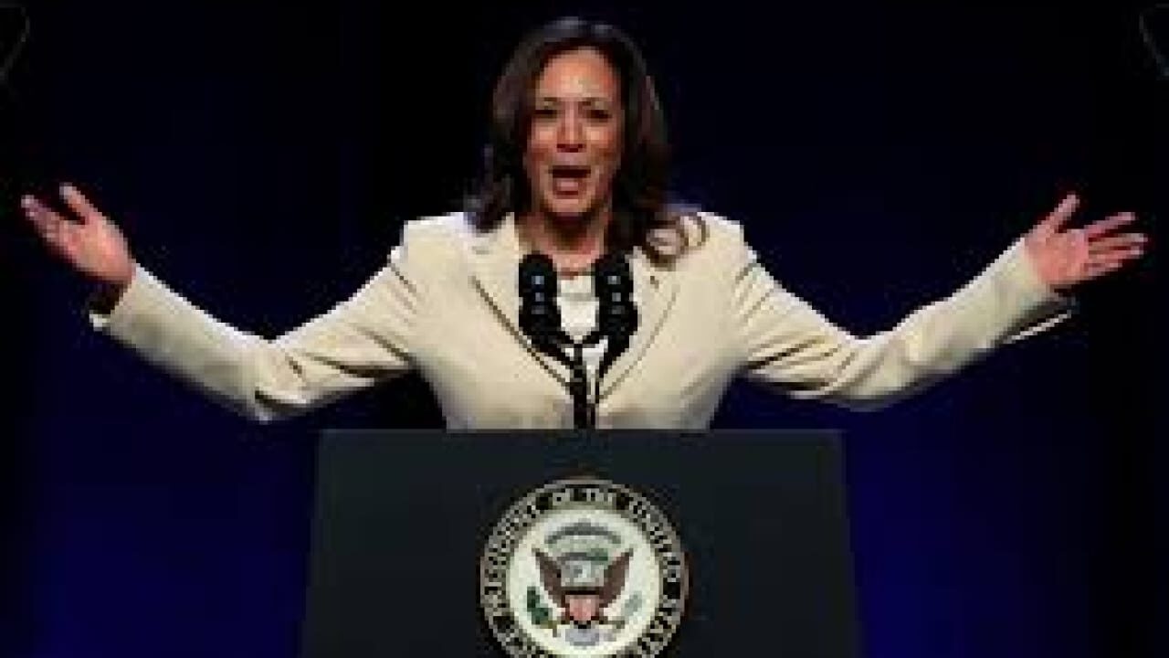 Did you vote Kamala Harris meme sound effect