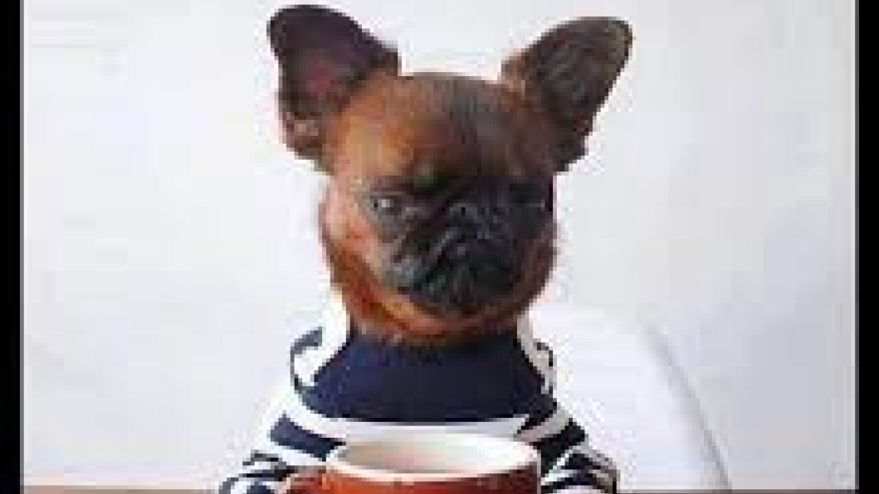 Die Tasse Kaffee