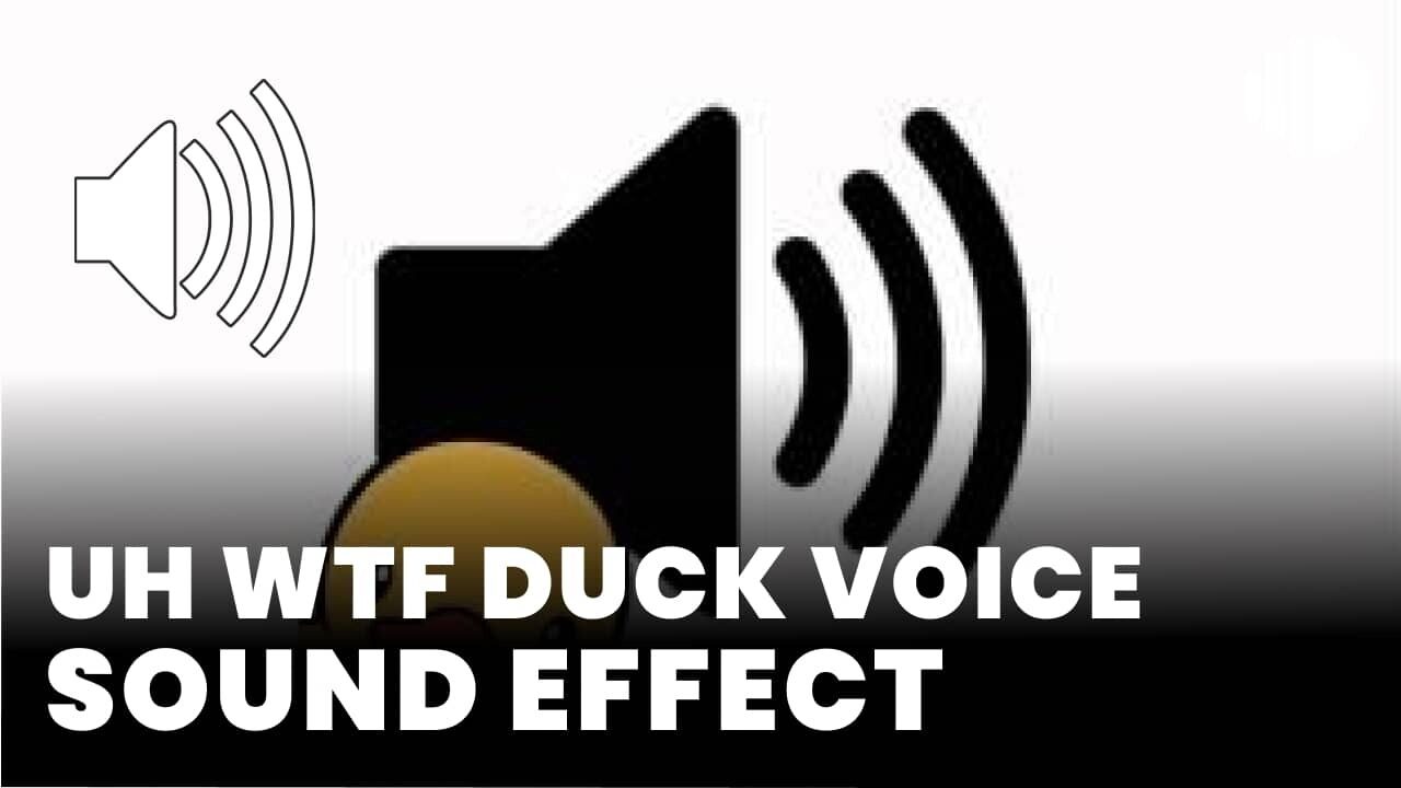 uh wtf duck voice sound effect download